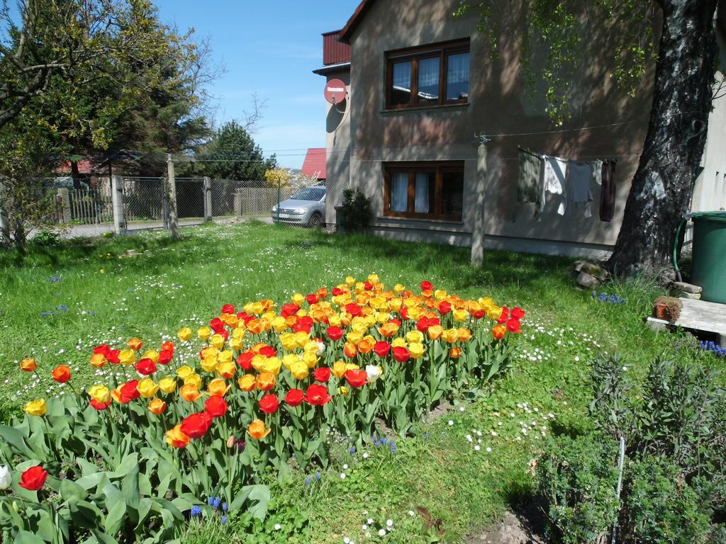 Ferienwohnung Wawrok Pirna Esterno foto